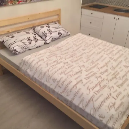 Apartament Saris *