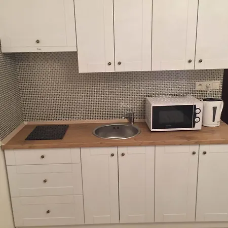 Apartament Saris *